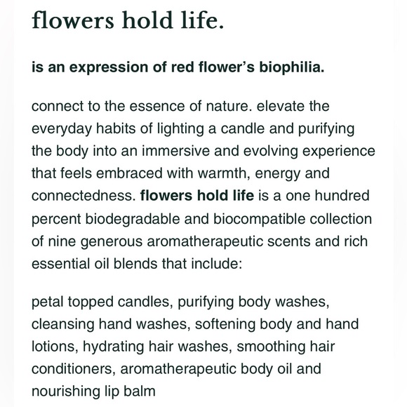 NWT Palo Santo Nourishing Hair Wash. Draws in softness. Leaves scalp healthy. - Picture 4 of 5